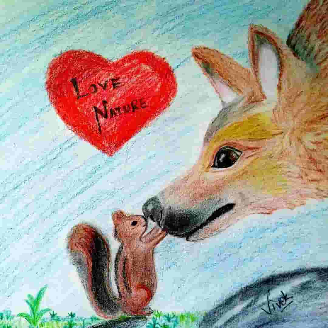 nature love wolf squrrel drawing